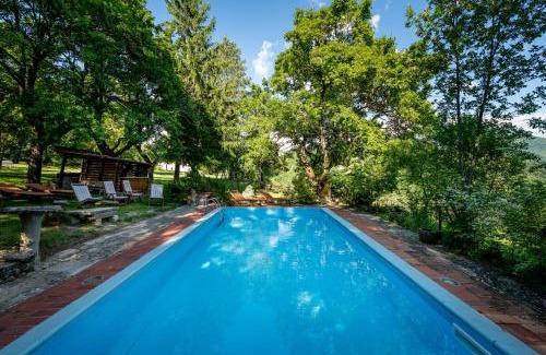 Apecchio Villa | Relax at Verde Immenso: Poolside Bliss with Ocean Views