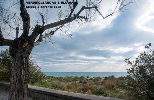 Marina di Ascea Apartment | Explore Verde Oleandro & Blu Mare - Oceanfront Bliss