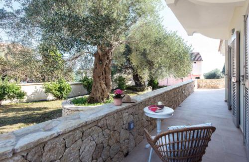 Kato Korakiana House | Experience Verde Olive: Nestled in a Serene Olive Grove