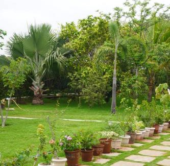 Sanwer Resort | Verde Vista Farm & Resort, Indore