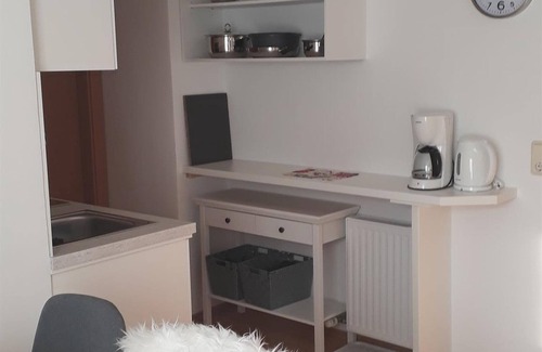 Russbach am Pass Gschuett Apartment | Vergißmeinnicht single room, shower, WC, balcony - Gästehaus Walpurga