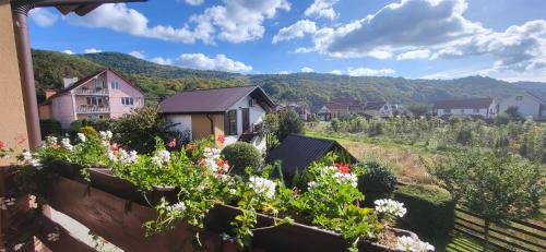 Solochyn Apartment | Discover Veronika Domik: Top-Rated Oceanfront Retreat