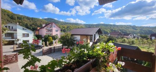 Solochyn Apartment | Discover Veronika Domik: Top-Rated Oceanfront Retreat