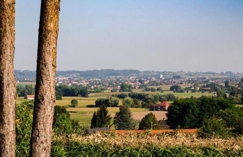 Frasnes-Lez-Anvaing Hotel | Vertes Feuilles: Guest Rated 9/10 with Breakfast & Hot Tub