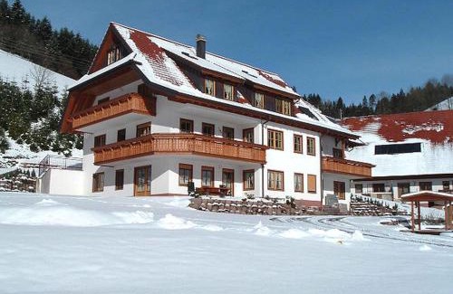 Hausach Apartment | Vettererhof