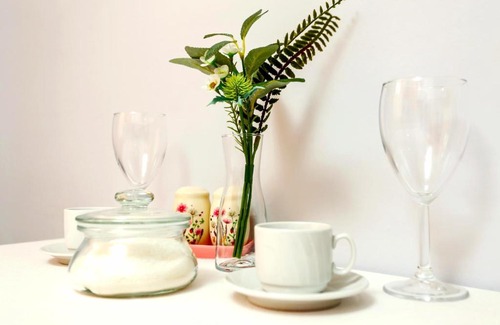 Omsk Apartment | VGOSTI OMSK: Comfort with Pet-Friendly Amenities