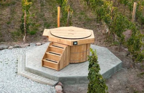 Lujan de Cuyo House | Viña Jardín de Maria