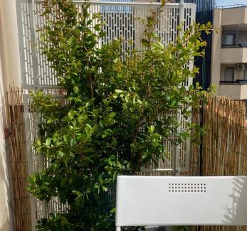 Sassari Apartment | Prime Location Near Universities: Via Roma with Ocean View