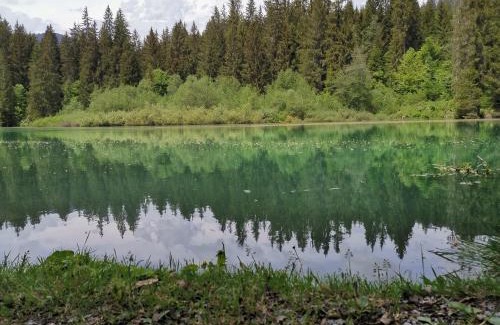 Flims Apartment | Unwind at Via Stenna: Pet Friendly with Hot Tub & Breakfast