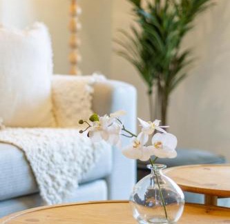 Christchurch City Centre Apartment | Pet-Friendly Central Christchurch Retreat with Park Access