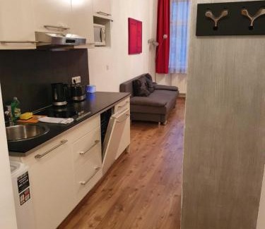 Erdberg Apartment | Budget-Friendly Vibrant Red Apartment with Breakfast Included