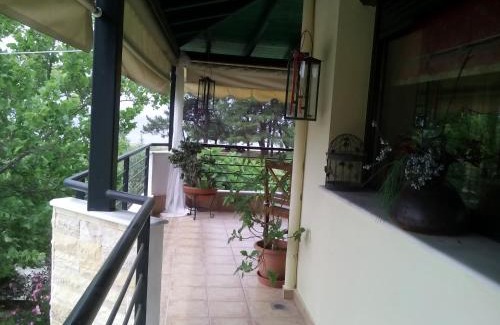 Skala Rachoniou Apartment | Vicente House