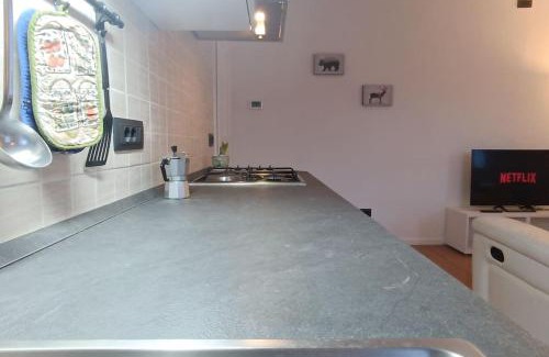 Treppo Carnico Apartment | Vicino Zoncolan+Netflix e Wifi