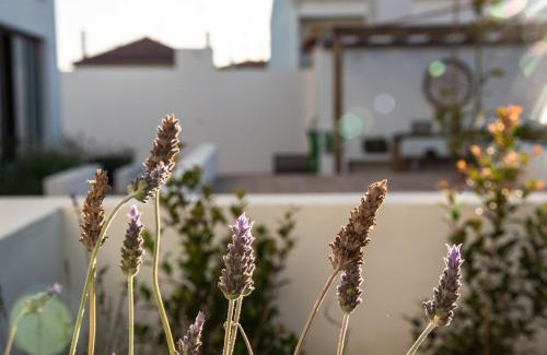 Vila Nova de Milfontes House | Relax at Vida na Vila: Oceanfront Comfort & Guest Rated 9.3