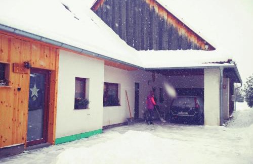Pavcina Lehota Apartment | Pet-Friendly Vidiecky apartmán Kubo with Hot Tub & Breakfast