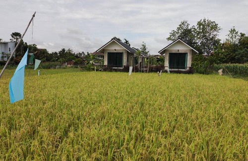 Pua Ski Chalet | Cozy Vieng Pua Homestays: Guest Rated 8/10 in Comfort