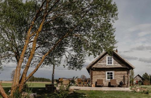 Panevezys county Ski Chalet | Enchanting Vienkiemio Oazė - Pasakų namelis with Ocean Views