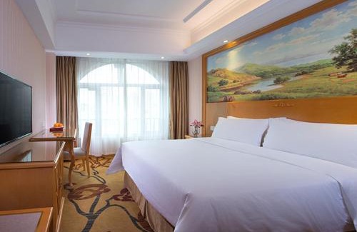 Longhua District Hotel | Budget-Friendly Vienna Hotel Shenzhen with Family Amenities