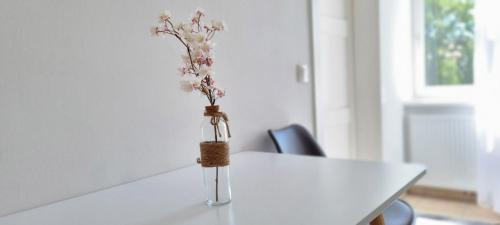 Himmelpfortgrund Apartment | Elegant Vienna ROYAL Apartment Near Opera with Great Amenities