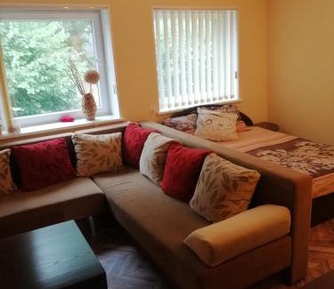 Kintai Apartment | Cozy One-Bedroom Apartment - Family-Friendly Stay