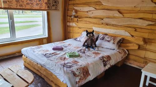 Daugavpils Municipality House | Pet-Friendly Viesu māja Kaķis krūzē with Pool & Breakfast