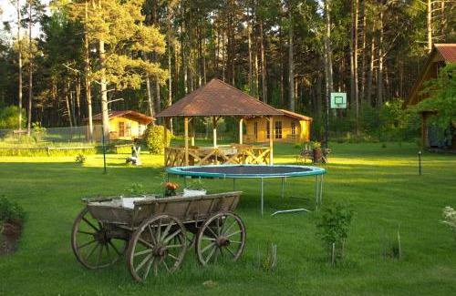 Baltic Sea House | Discover Viesu māja Klētnieki: Family-Friendly Retreat