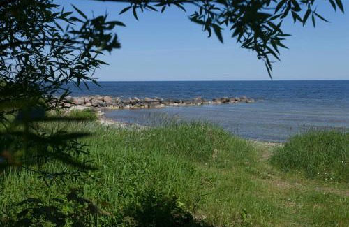 Roja House | Pet-Friendly Retreat at Viesu māja Vanaturs - Rated 9.7/10