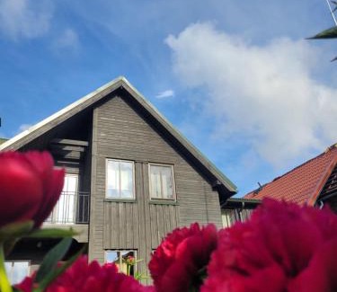 Pavilosta House | Budget-Friendly Stay at Viesu māja Zvilnis - 9/10 Rated