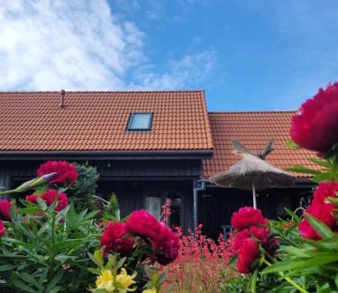 Pavilosta House | Budget-Friendly Stay at Viesu māja Zvilnis - 9/10 Rated