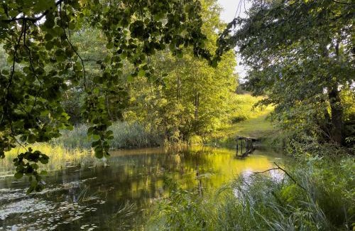 Kraslava Municipality House | Discover Viesu Sēta LOCU SALA: Pet-Friendly Retreat