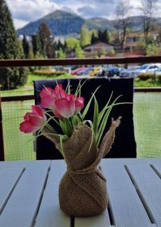 Visoko Apartment | Unforgettable View Apartment: Pet-Friendly with Breakfast