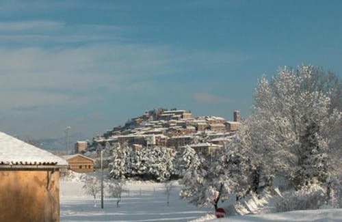 Saturnia House | Vignagrande Agriturismo: Pet-Friendly Stay with Breakfast