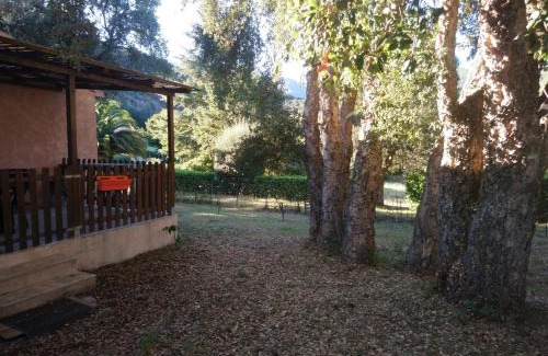 Casamozza House | Vignale: Family-Friendly Retreat with Great Reviews