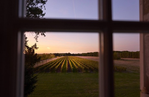 Espiens Cottage | Vignes Cottage - Relaxing Retreat at Château de Mazelières