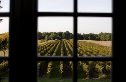 Espiens Cottage | Vignes Cottage - Relaxing Retreat at Château de Mazelières