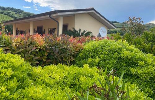 Martinsicuro Bed & Breakfast | Discover Il Vigneto Country House with Oceanfront Views