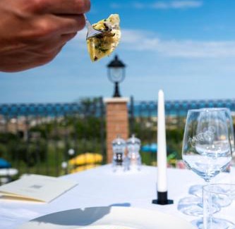 Martinsicuro Bed & Breakfast | Discover Il Vigneto Country House with Oceanfront Views