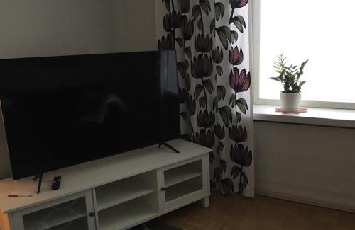 Heinola Apartment | Cozy City Center Apartment Near Essential Services