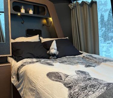 Vikajarvi Apartment | Unforgettable Vikajärvi Lake View Igloos with Private Beach