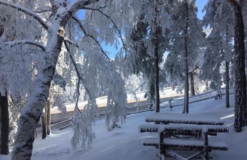 Divcibare House | Exceptional Vikendica Martinović: Pet & Child Friendly Escape