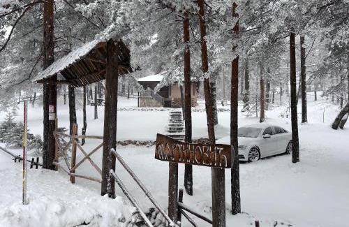 Divcibare House | Exceptional Vikendica Martinović: Pet & Child Friendly Escape