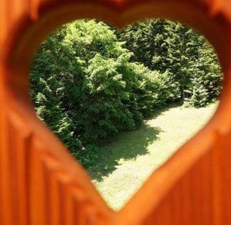 Beserovina House | Oceanfront Vikendica Tarsko Srce: Guest Rated 9.8/10
