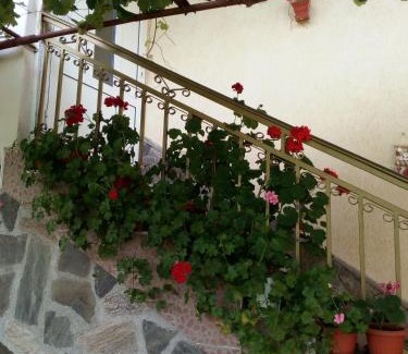 Sapareva Banya House | Budget-Friendly Stay at Viktoria House with Kitchen Access