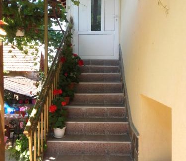 Sapareva Banya House | Budget-Friendly Stay at Viktoria House with Kitchen Access