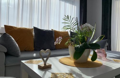 Dealu House | Relax at Viktoria House - 4-Star Oceanfront Oasis