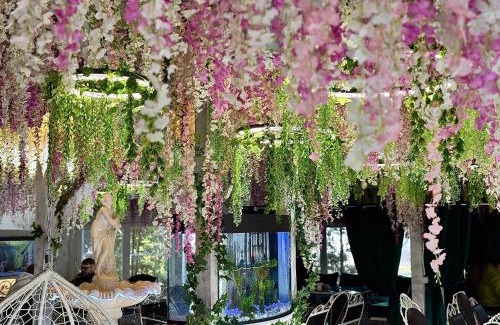 Svyatoshyns'kyi District Hotel | Family-Friendly Viktoriya Hotel with Spa and Pool Access