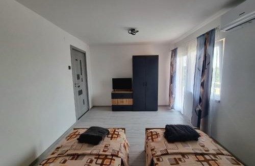 Sanmihaiu Roman Apartment | Vilă cu 3 dormitoare