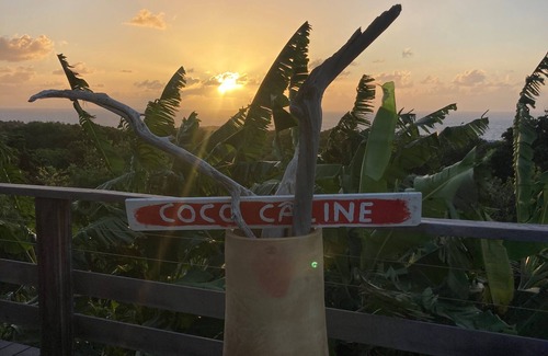 Capesterre-de-Marie-Galante Villa | Villa Coco Caline: Ocean View with Private Infinity Pool