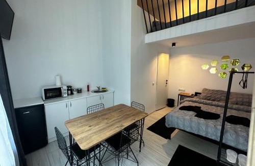 Cluj-Napoca House | Pet-Friendly Vila Ana 2 Untold with Breakfast & Kitchen