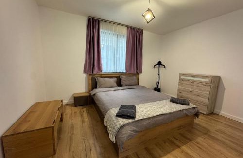 Oradea Villa | Discover Vila Andrea: Pet-Friendly Stay with High Ratings
